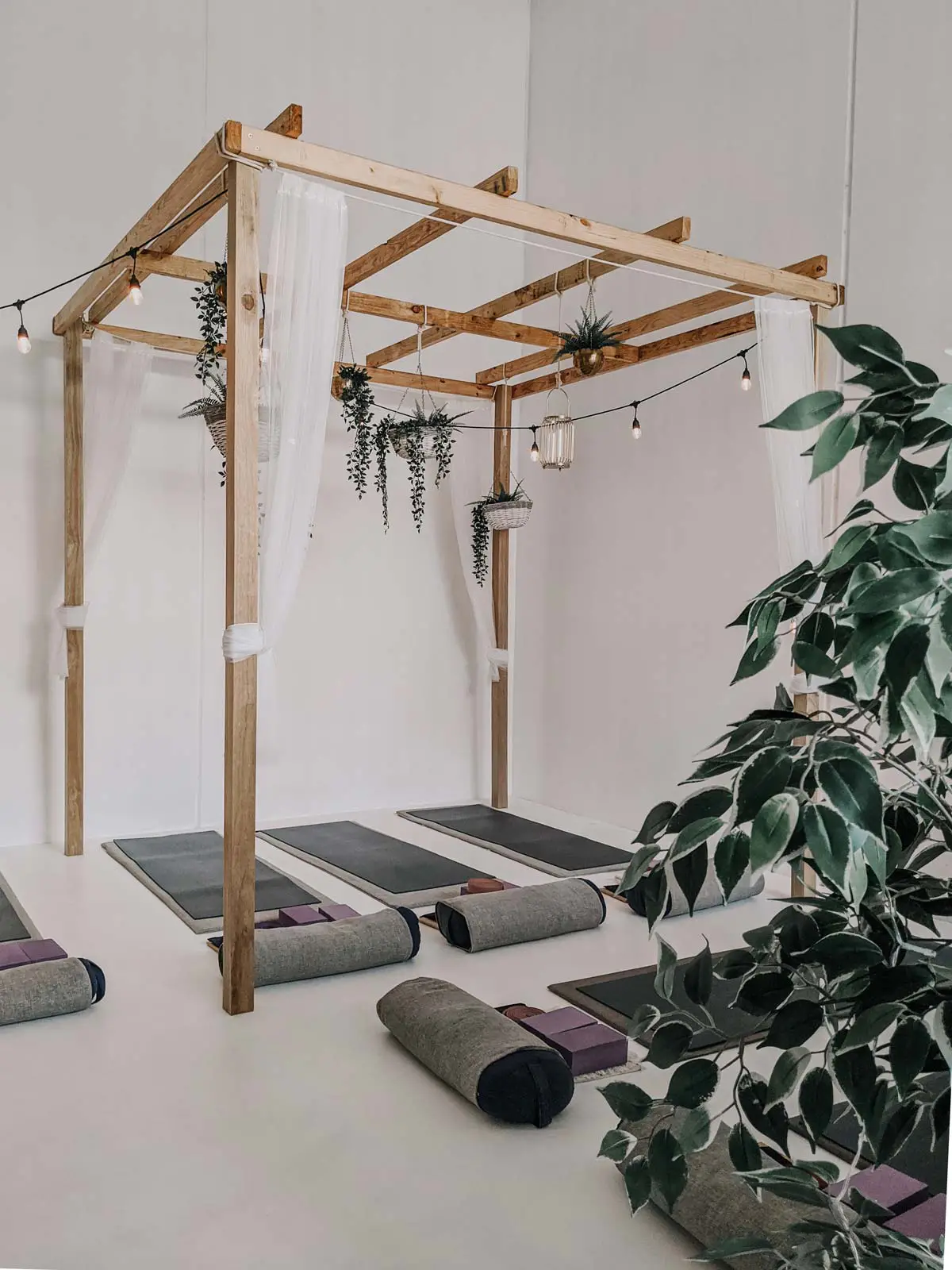 Yoga studio with mats and plants
